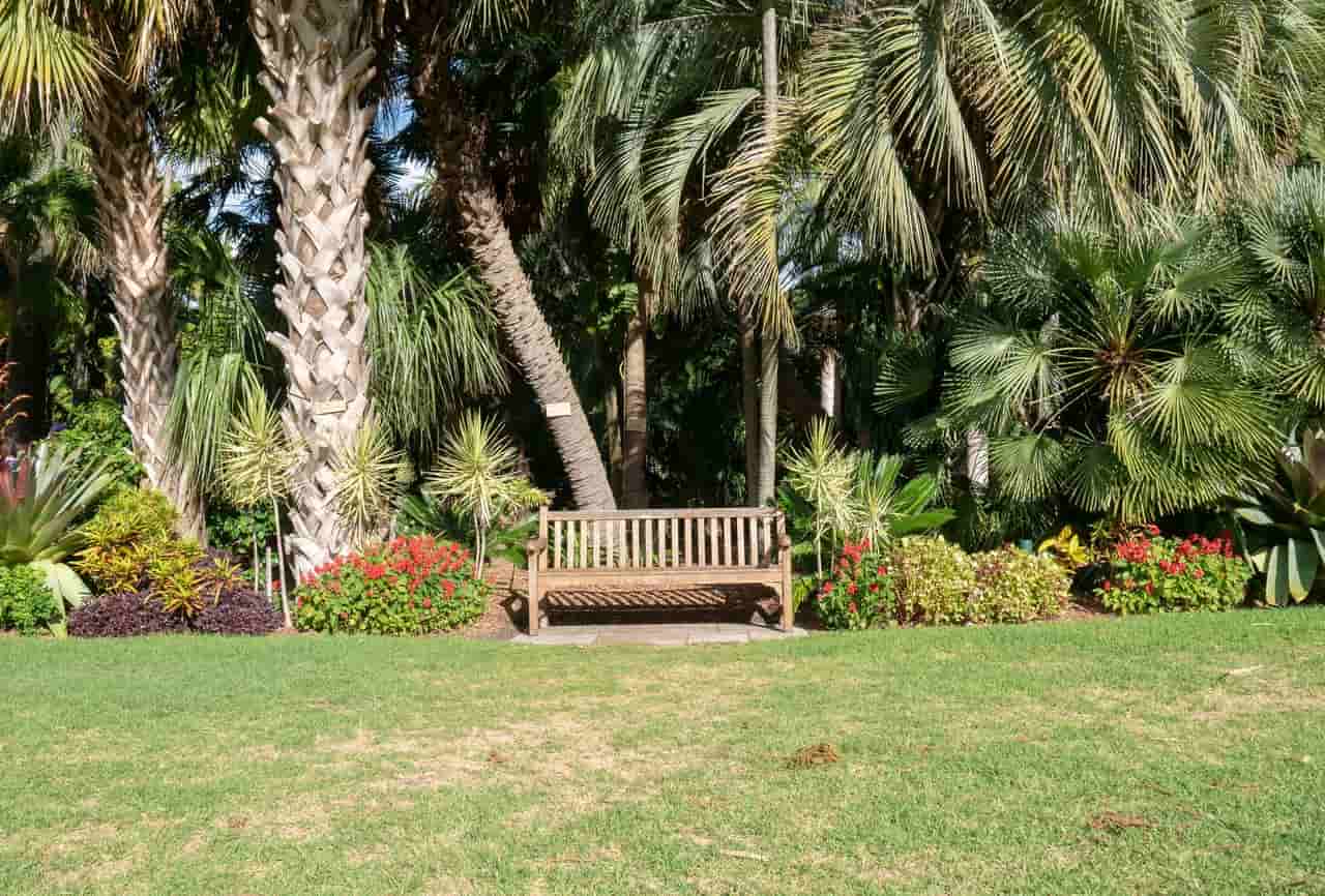 Plant Encyclopedias Yard & Garden Plants